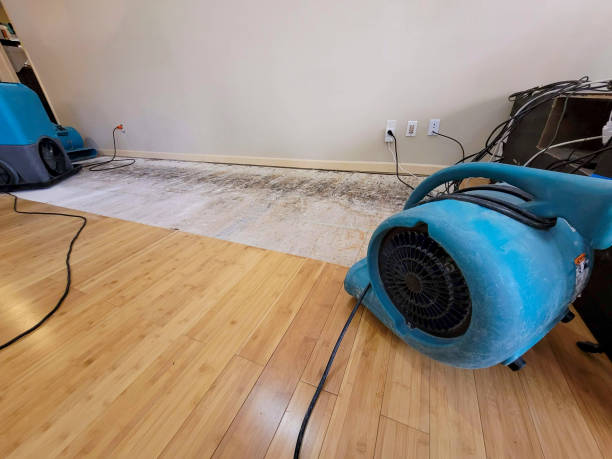 Professional Water Damage Repair technician working in Sayreville, NJ